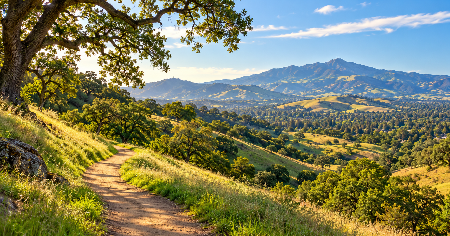 Walk or hike near Alamo on scenic East Bay trails