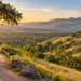 Walk or hike near Danville on scenic East Bay trails